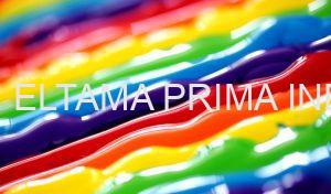 Jasa Decorative Coating Hadir dengan Berbagai Pilihan Cat!